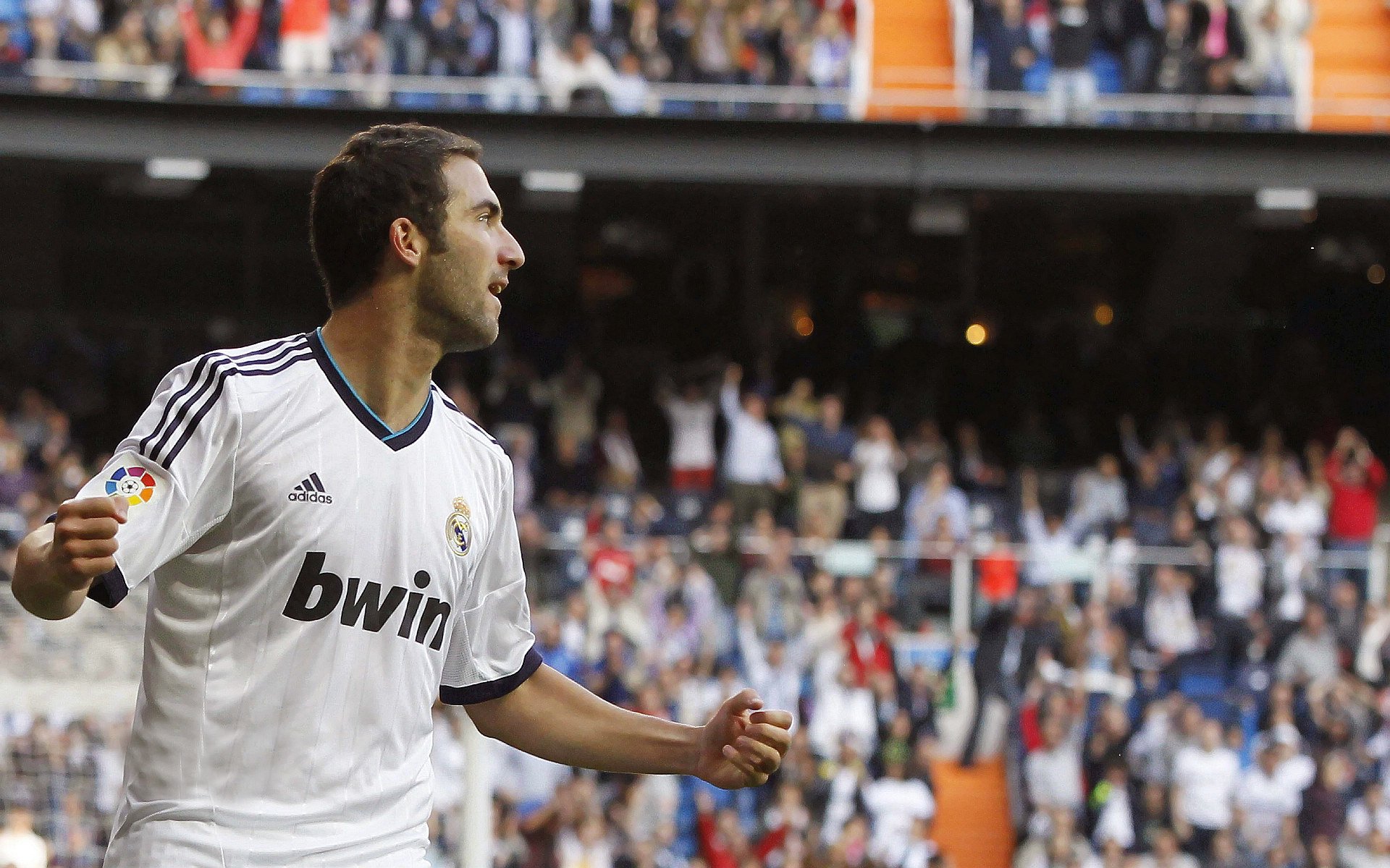 球队整体阵容再添新员,志在夺冠,球队更新换代